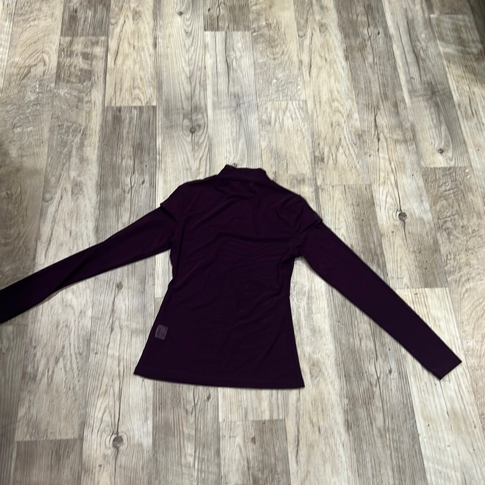 Sheer eggplant long sleeve turtle neck